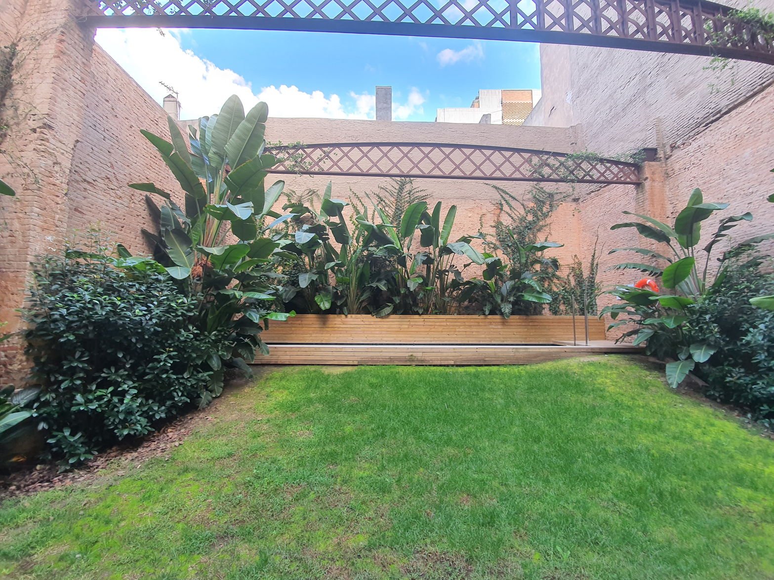 Garden next to the pool